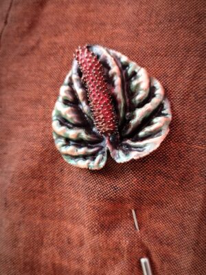 PllEPEROMIA CAPERATA LILIAN a březová jehněda a díky galvanoplastice vznikla jedinečná brož 🧙. Připínání je z chirurgické oceli !